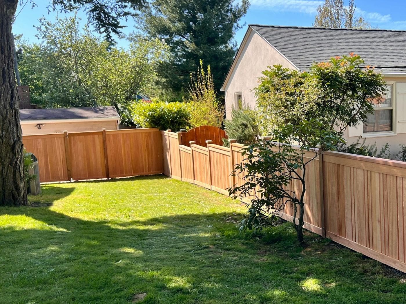 New cedar privacy fence around a sunny backyard lawn beside a single-story home