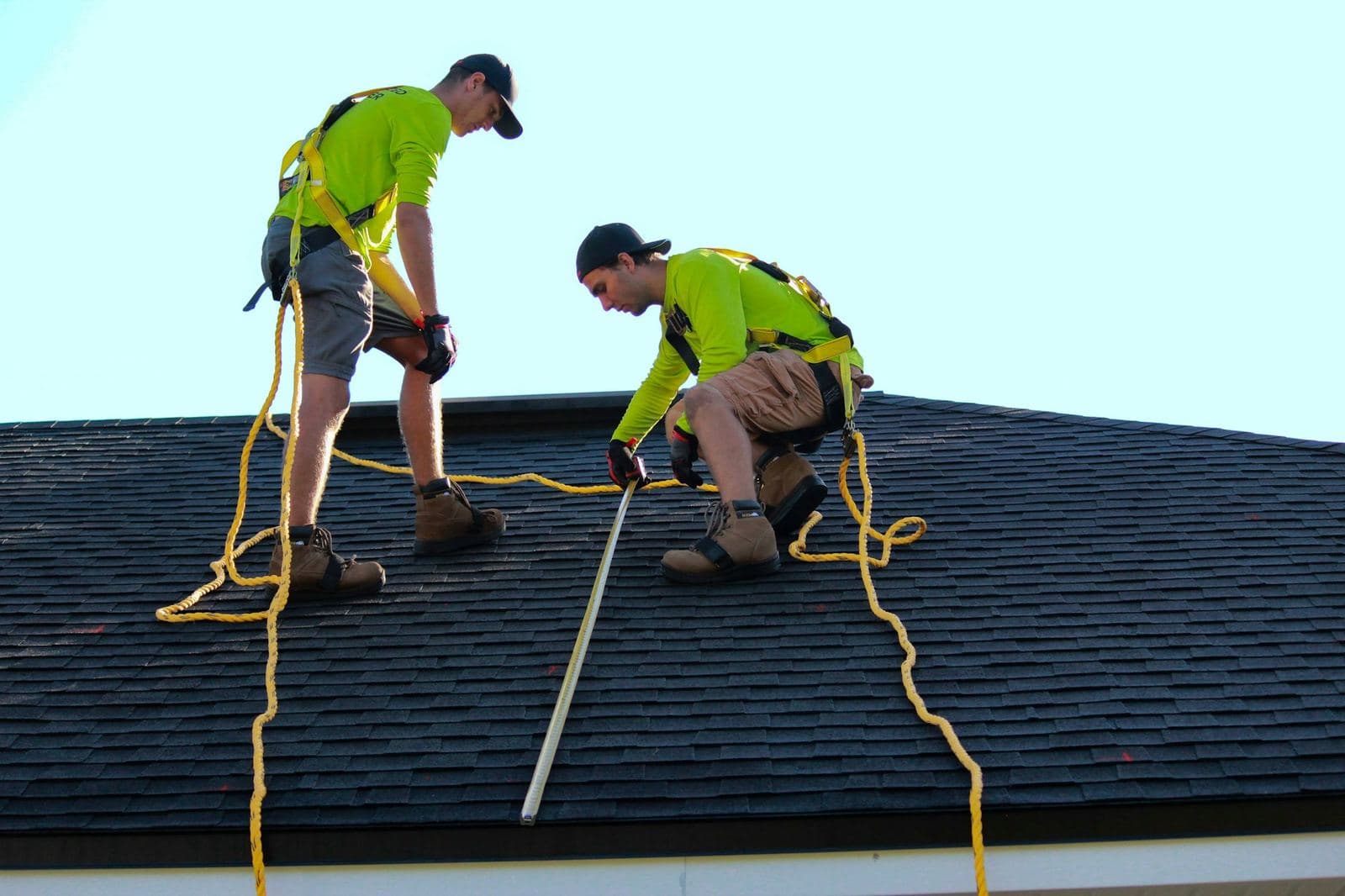 Two roofers in safety harnesses working on an asphalt shingle roof