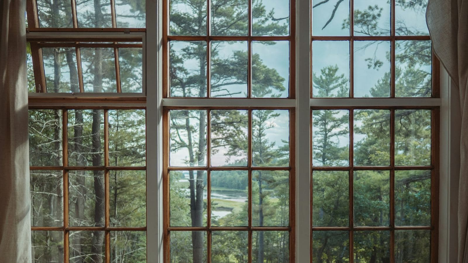 Large multi-pane wood-framed windows looking out on pine trees
